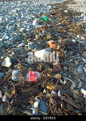 Les bouteilles en plastique et autres déchets pris dans les algues sur une plage irlandaise Banque D'Images
