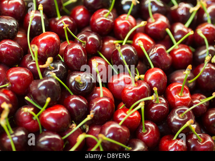 Cerises Banque D'Images