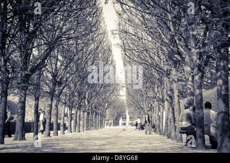 Vue de la convergence des arbres dans le Jardin du Palais, Paris, France Banque D'Images