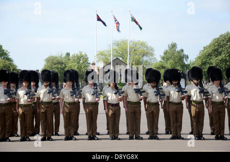 Hounslow, London, UK. 5 juin 2013. 1er bataillon Welsh Guards, sur le quartier de cavalerie à percer, Hounslow, London. Comme il y a les fournisseurs de cette année 2013. Crédit : andrew chittock/Alamy Live News Banque D'Images