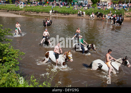 Appleby-in-Westmorland, au Royaume-Uni le 6 juin 2013. Natation les chevaux dans la rivière Eden lors de l'historique foire aux chevaux. En commençant le premier jeudi de juin et en cours d'exécution pour une semaine la foire est visité par les Tsiganes, Voyageurs et marchands de chevaux de toute l'Europe Crédit : Mark Richardson/Alamy Live News Banque D'Images