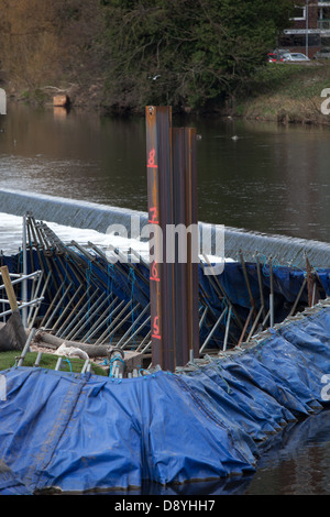 Piledriving travailler passe dans la rivière, à Tamworth. Au cours de la construction d'un passage du poisson. F*** off et me laisser seul Banque D'Images