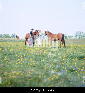Une famille dans un enclos à chevaux, la Suède. Banque D'Images