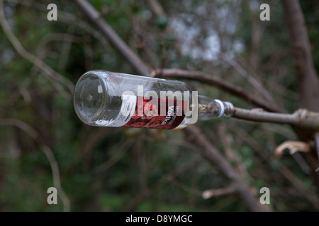 Une bouteille vide de vodka à gauche sur la branche d'arbre sur le côté d'un canal. Banque D'Images