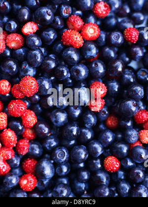 Tas de myrtilles et fraises sauvages Banque D'Images