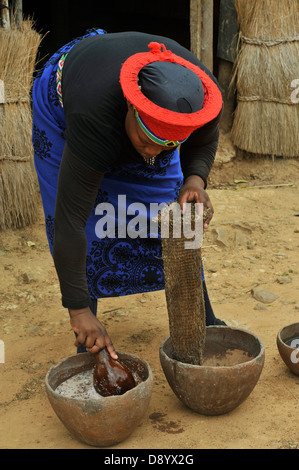 Femme Zulu, tenue traditionnelle, la pression de la bière africaine traditionnelle après la préparation du café, filtre, Shakaland, KwaZulu-Natal, Afrique du Sud, Culture, ethnie Banque D'Images