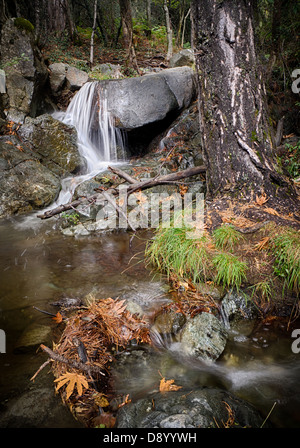 Une vue d'une petite cascade dans les montagnes de Troodos à Chypre Banque D'Images