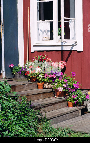 Les plantes en pot sur les mesures devant un chalet, Rodloga, Stockholm, Suède. archiplago Banque D'Images