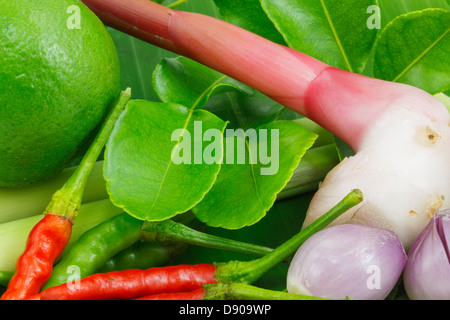 Feuilles de lime frais détail des ingrédients pour soupe Thaï, Tom Yum Goong. Banque D'Images