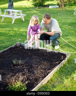 Père et fille de planter des graines dans le jardin, en Suède. Banque D'Images