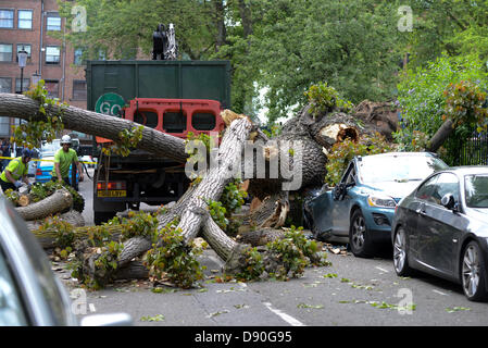 Londres, Royaume-Uni. 7 juin, 2013. Arbre tombe vers le bas à Colville Square dans le quartier de Notting Hill, Londres squashing 2 voitures et le parc et de casser un park gate Banque D'Images