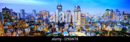 Panorama d'immeubles de bureaux dans le Minato Ward de Tokyo. Banque D'Images