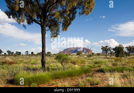 Kata Tjuta dans l'outback australien Banque D'Images