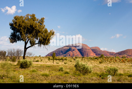 Kata Tjuta dans l'outback australien Banque D'Images