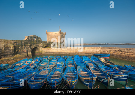 Bateaux de pêcheurs dans le port d'Essaouira, Maroc Banque D'Images