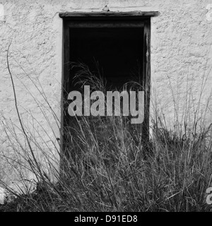 Broken porte de maison abandonnée et envahi par les plantes. Noir et blanc. Banque D'Images