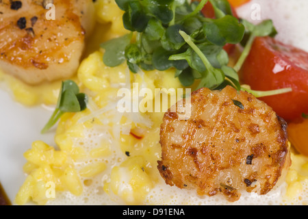 Saffron risotto aux pétoncles grillés et sauce aux tomates cerises Banque D'Images