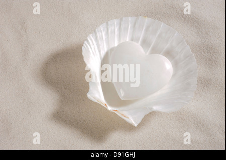 Moules en coeur blanc avec fond de sable Banque D'Images