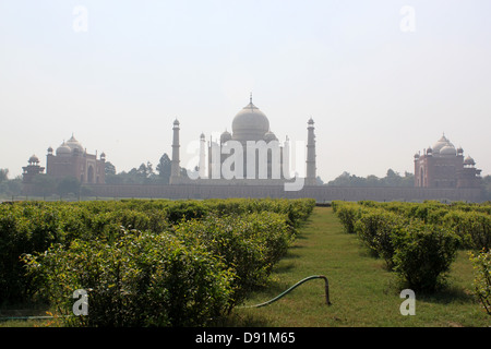 Mehtab Bagh, localisation des Taj noir avec Taj Mahal en arrière-plan sur l'autre côté de la rivière Yamuna Agra Inde Banque D'Images