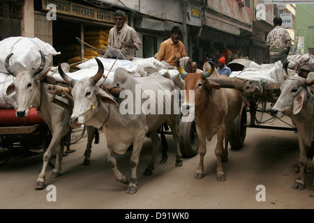 Oxes tirant une charrette chargée de fret sur l'étroite rue du Vieux Dhaka, au Bangladesh, en Asie Banque D'Images