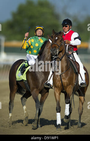Elmont, New York, USA. 8 juin, 2013. Mike Smith Jockey célèbre après avoir remporté le 145e exécution du Plan Belmont de jeu sur Palace de malice, à Belmont Park à Elmont, New York le 8 juin 2013. (Crédit Image : Crédit : Tj Root/Eclipse/ZUMAPRESS.com/Alamy Live News) Banque D'Images