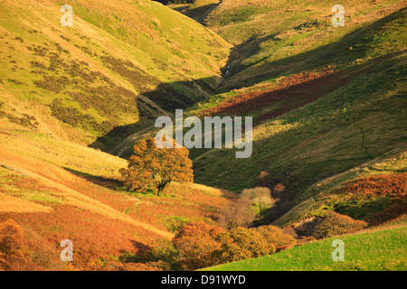 En automne paysage rural Tywi Valley Carmarthenshire Wales Banque D'Images