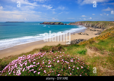 Marloes St Brides Bay Wales Pembrokeshire Banque D'Images