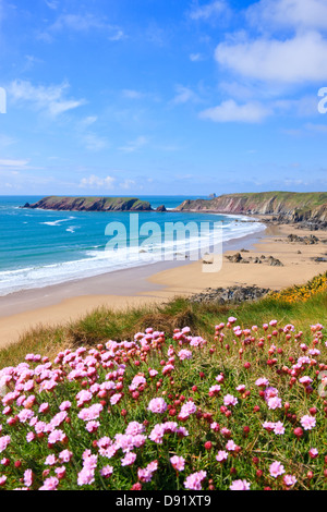 Marloes St Brides Bay Wales Pembrokeshire Banque D'Images