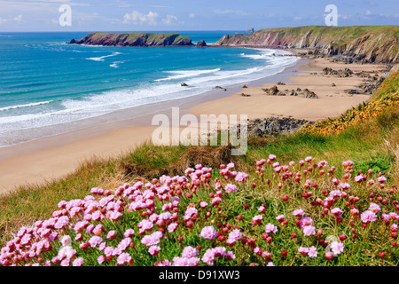 Marloes St Brides Bay Wales Pembrokeshire Banque D'Images