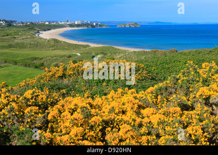 Plage de Tenby Tenby, Pembrokeshire au Pays de Galles du Sud Banque D'Images