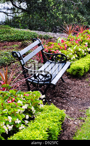 Fer à repasser banc de parc entouré de fleurs Banque D'Images