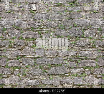 Mur de pierre à l'arrière-plan Banque D'Images
