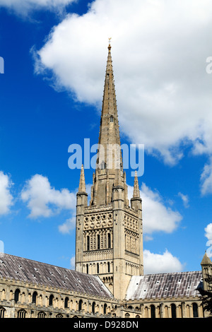 Cathédrale de Norwich Spire, Norfolk, Angleterre, Royaume-Uni Anglais les clochers des cathédrales médiévales Banque D'Images