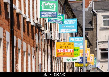 Rangée de maisons avec de nombreux 'à vendre' et 'à laisser' estate agents signe Banque D'Images