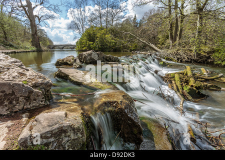 Stream ci-dessous le pont à Clumber Park Banque D'Images