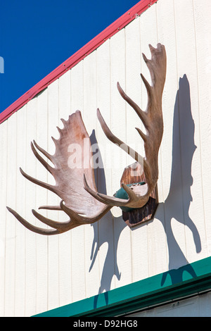 Lodge, Eureka roadhouse et restaurant. Bois de caribou ornent un bâtiment. Banque D'Images