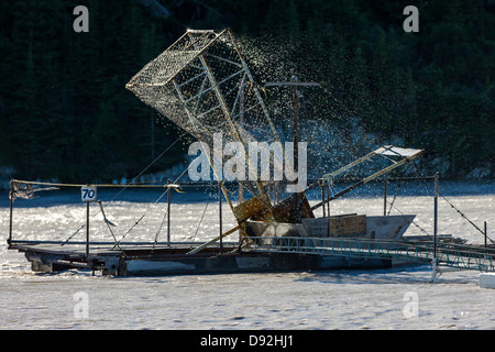 Utiliser le poisson des pêcheurs de subsistance des roues sur la rivière de cuivre qui va du glacier du cuivre, essayez les montagnes Chugach & Wrangall Banque D'Images