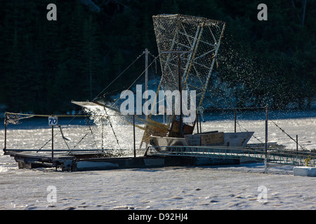 Utiliser le poisson des pêcheurs de subsistance des roues sur la rivière de cuivre qui va du glacier du cuivre, essayez les montagnes Chugach & Wrangall Banque D'Images