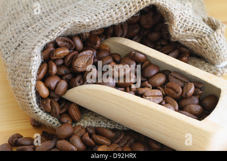 Café en grains en bois sur scoop, Close up Banque D'Images