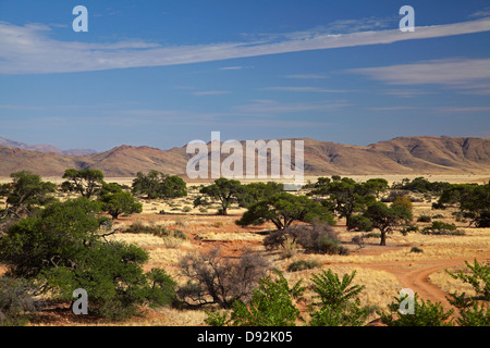 Ranch Koiimasis, Tiras Mountains, dans le sud de la Namibie, l'Afrique Banque D'Images