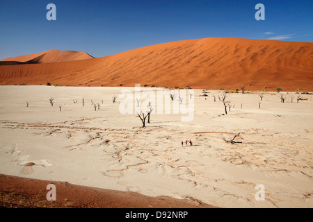 Les arbres morts (probablement de 900 ans) et des dunes de sable à Deadvlei, Namib-Naukluft National Park, Namibie, Afrique Banque D'Images