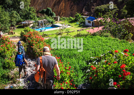 Oasis Sangalle dans le canyon de Colca, Pérou Banque D'Images