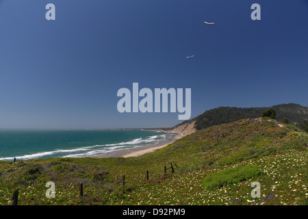 Deltaplanes monte sur la côte californienne, Ano Nuevo Bay, Californie Banque D'Images