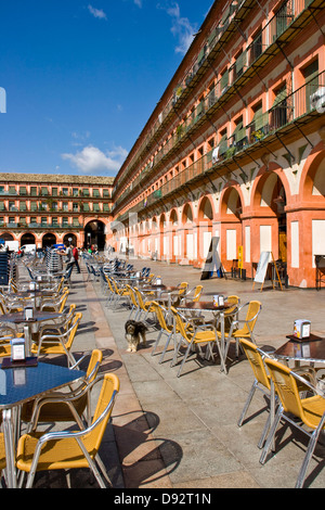 Restaurant café en plein air culture outdoor tables chaises Plaza de la Corredera Cordoba andalousie andalousie espagne Europe Banque D'Images