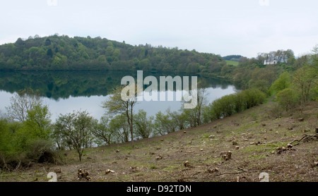 Paysage idyllique montrant un maar dans le Vulkan Eifel, qui est une région dans les montagnes Eifel en Allemagne Banque D'Images