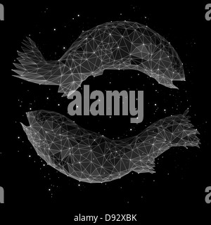 La constellation des Poissons Banque D'Images