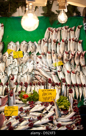 Sardines à la vente à un marché aux poissons à Istanbul, Turquie Banque D'Images