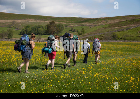 Équipe du programme Duke of Edinburgh DofE composée d'hommes et de femmes. Homme traversant la prairie de fleurs marchant vers Bluebell Hill, Apperset, Hawes, North Yorkshire, Royaume-Uni Banque D'Images