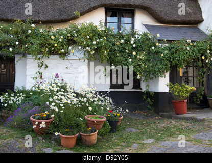 Thatched cottage s/n. Ringmore, Devon, Angleterre Banque D'Images