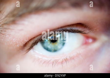 Blue Eye, close-up Banque D'Images